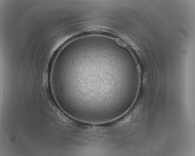 X0000112810877200908211142
