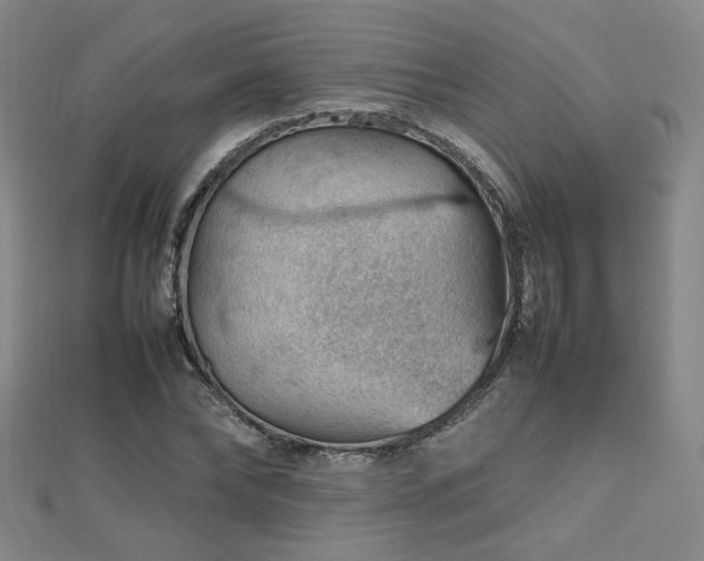 X0000112810878200908211142