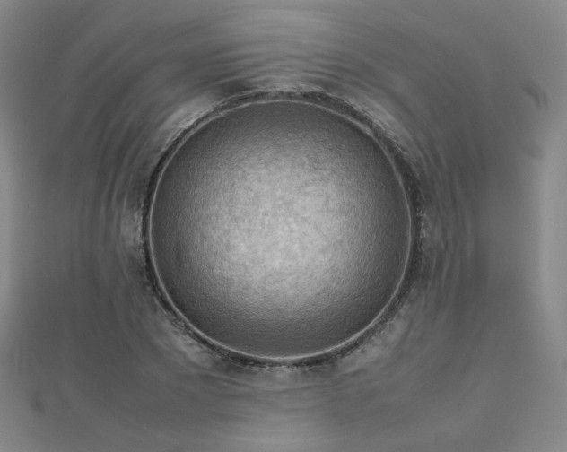 X0000112810881200908211142