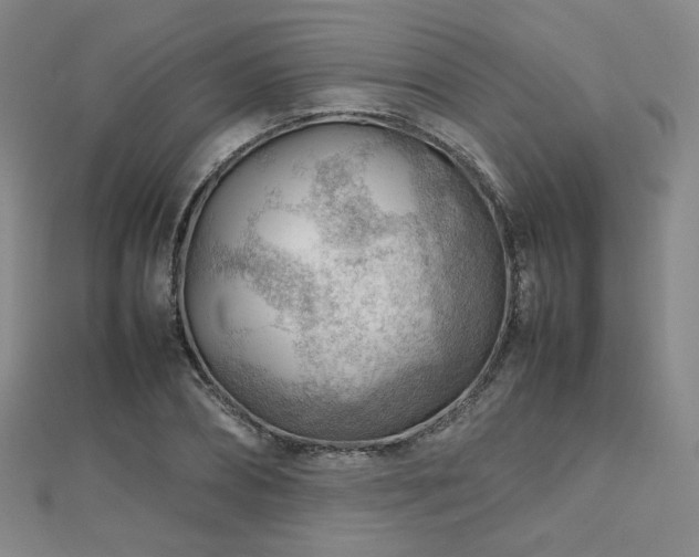 X0000112810882200908211142