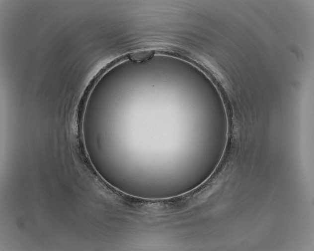 X0000112810883200908211142