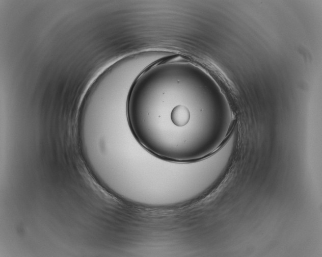 X0000112810884200908211142