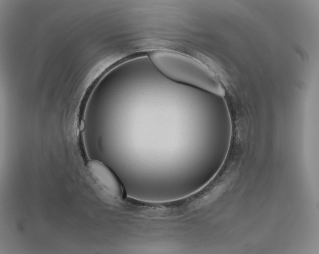 X0000112810885200908211142
