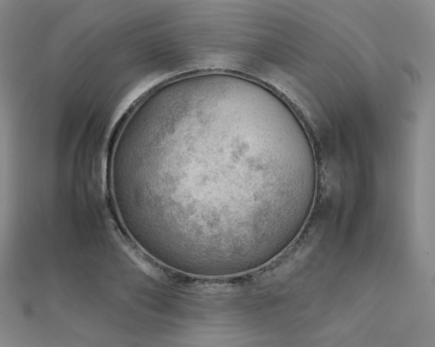 X0000112810886200908211142