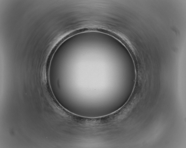 X0000112810887200908211142