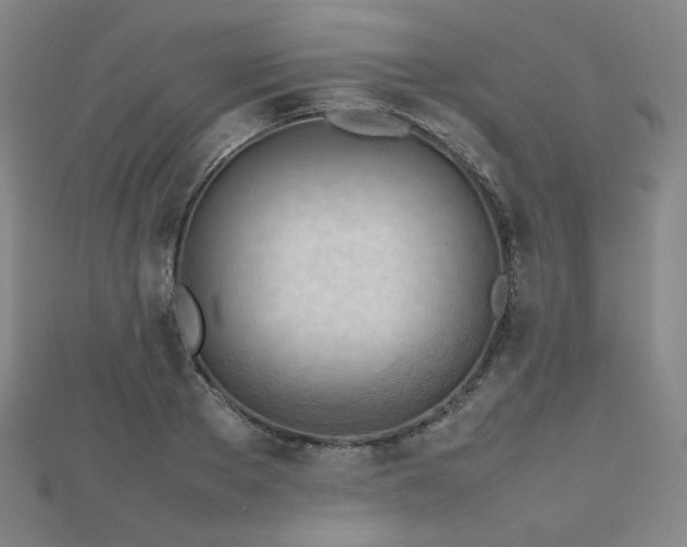 X0000112810889200908211142