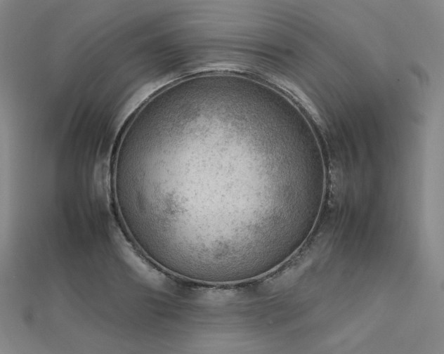 X0000112810890200908211142