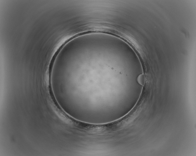 X0000112810891200908211142
