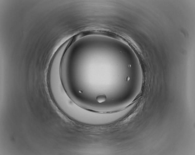 X0000112810893200908211142