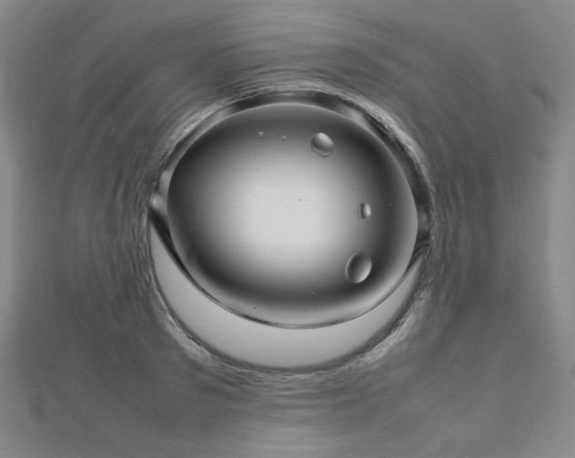 X0000112810897200908211142