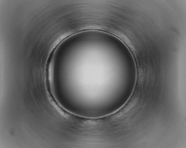 X0000112810898200908211142