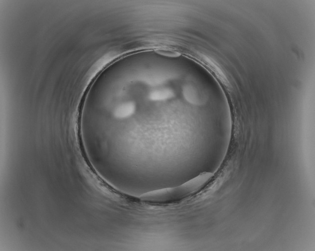 X0000112810899200908211142