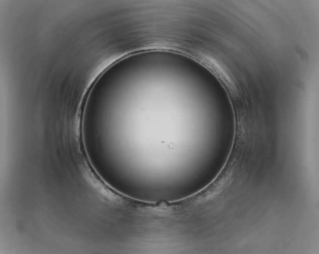 X0000112810900200908211142