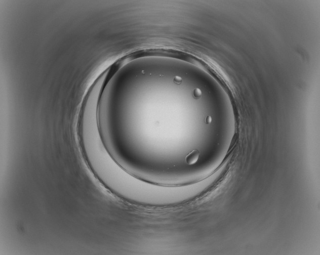 X0000112810901200908211141