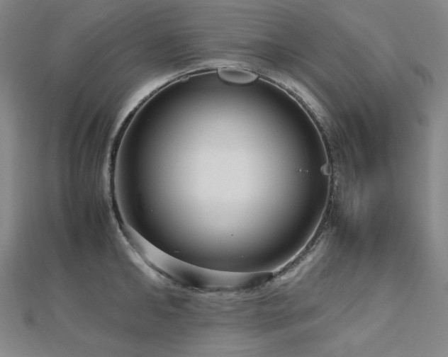 X0000112810902200908211141