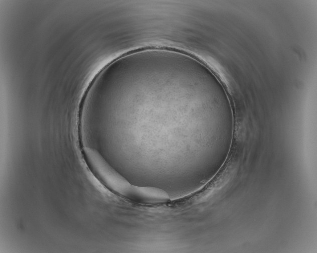 X0000112810903200908211141