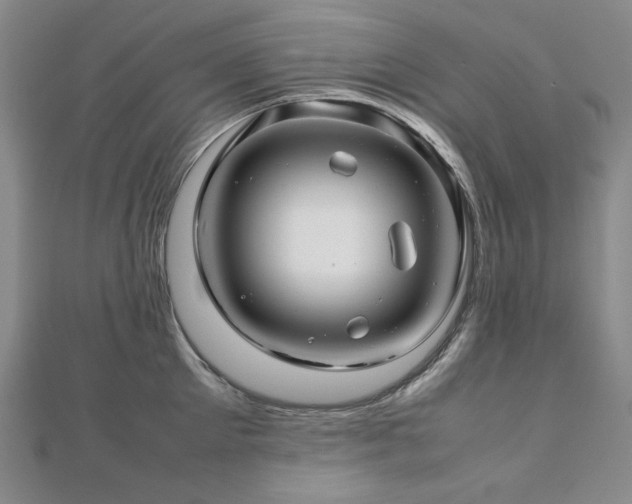 X0000112810905200908211141