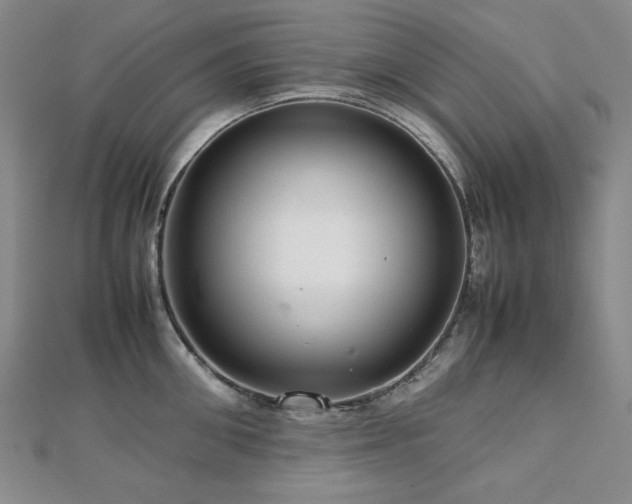 X0000112810906200908211141