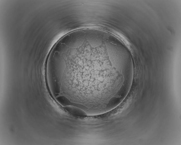 X0000112810907200908211141