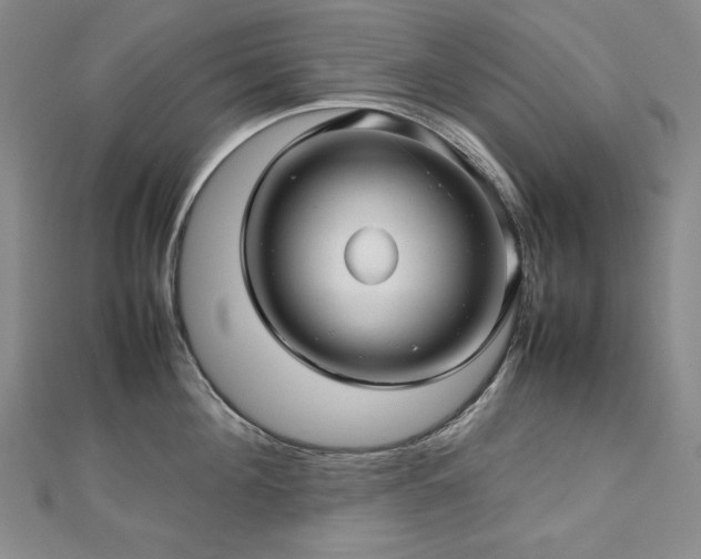 X0000112810908200908211141