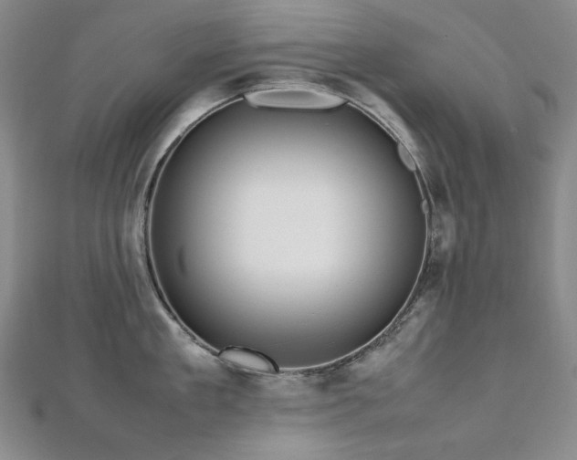 X0000112810909200908211141