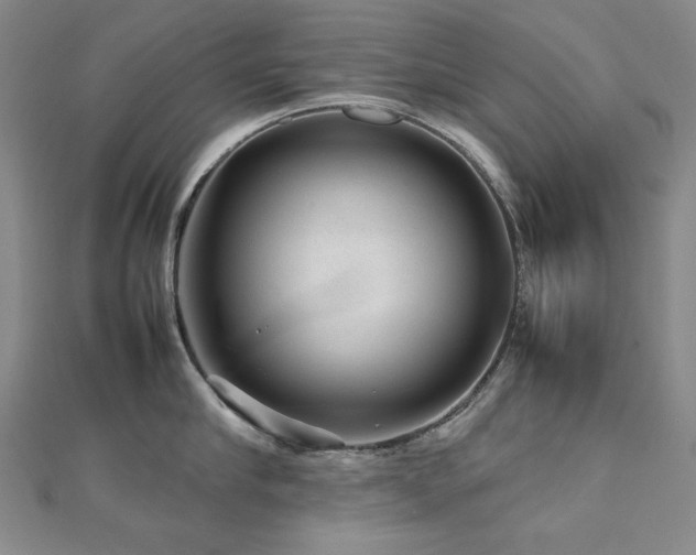 X0000112810910200908211141