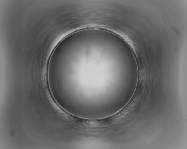 X0000112810911200908211141