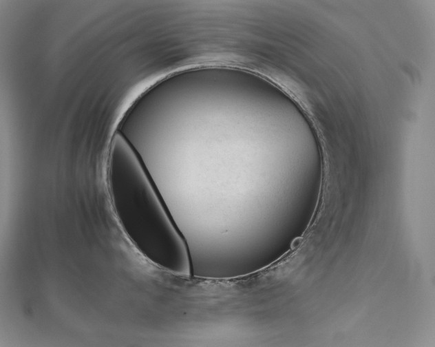 X0000112810912200908211141