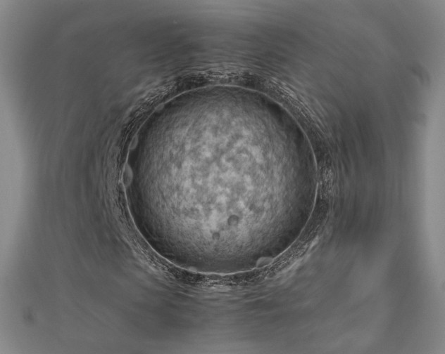 X0000112810913200908211141