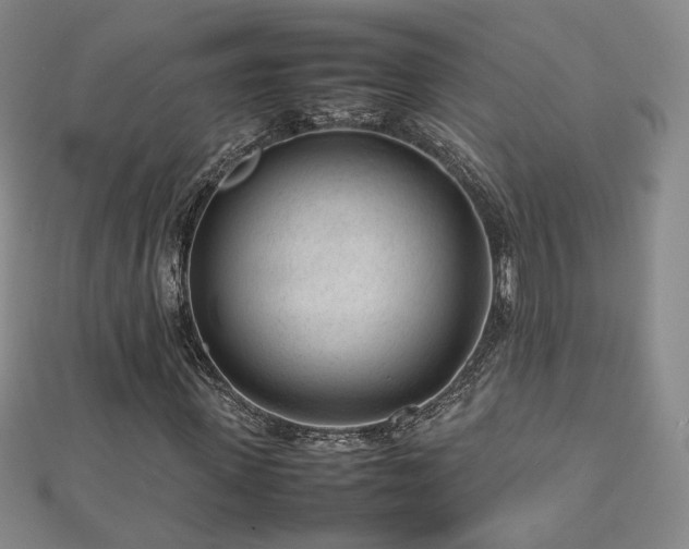 X0000112810915200908211141