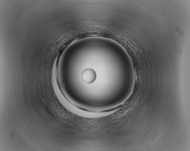 X0000112810916200908211141