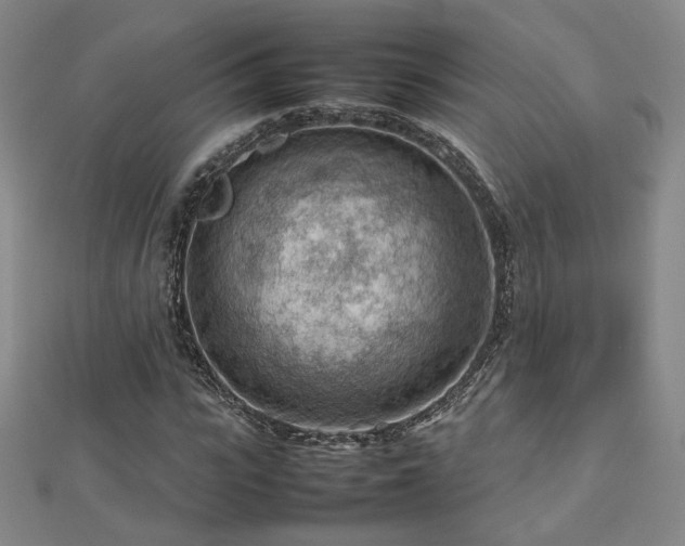 X0000112810919200908211141