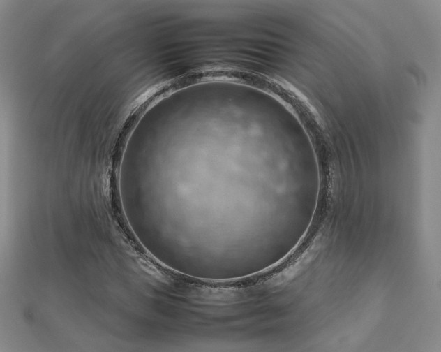 X0000112810921200908211141