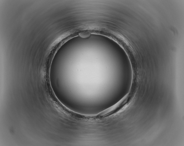 X0000112810922200908211141