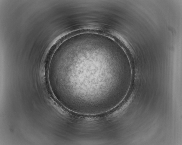 X0000112810923200908211141