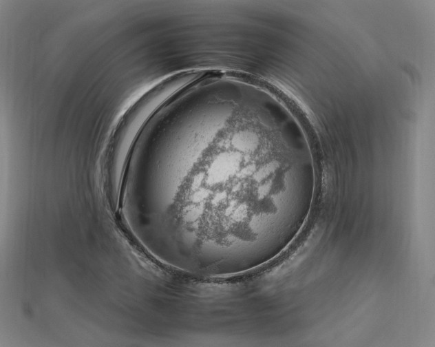 X0000112810925200908211141