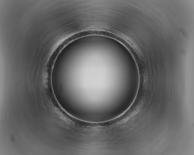 X0000112810926200908211141