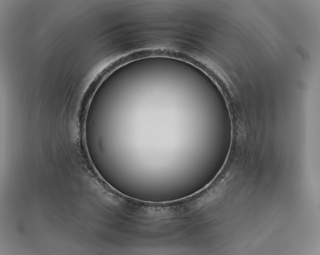 X0000112810927200908211141