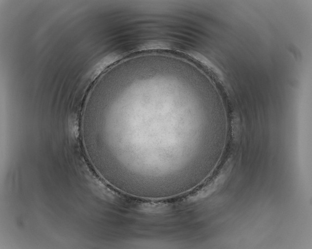 X0000112810929200908211141