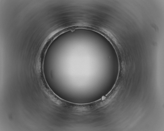 X0000112810931200908211141