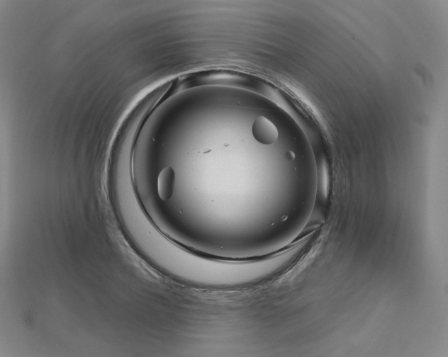 X0000112810932200908211141