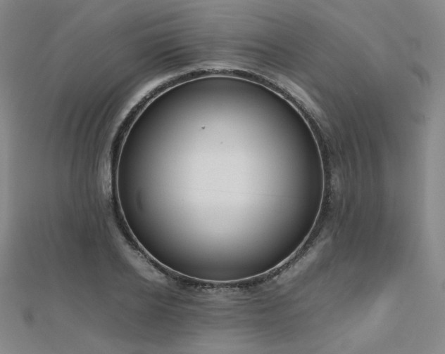 X0000112810934200908211141