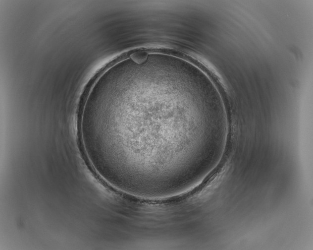 X0000112810935200908211141