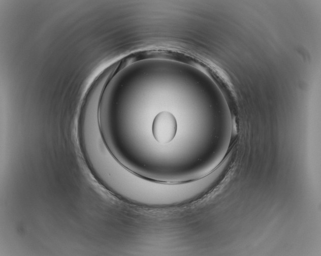 X0000112810936200908211141