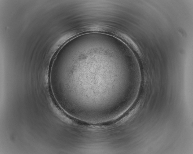 X0000112810938200908211141