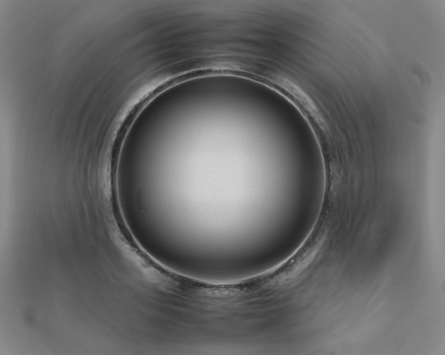 X0000112810939200908211141