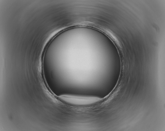 X0000112810940200908211141