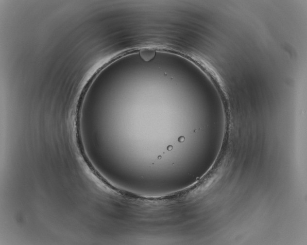 X0000112810941200908211141
