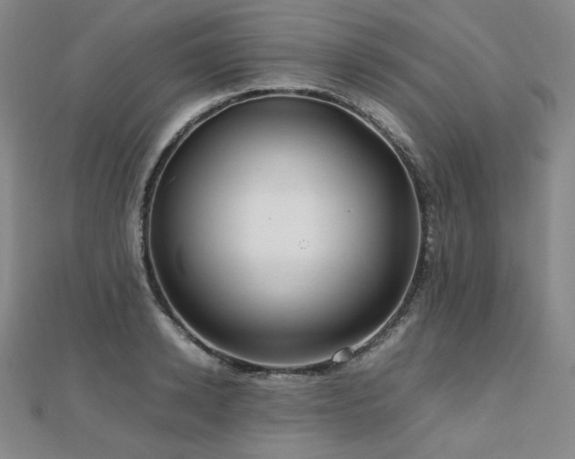X0000112810942200908211141