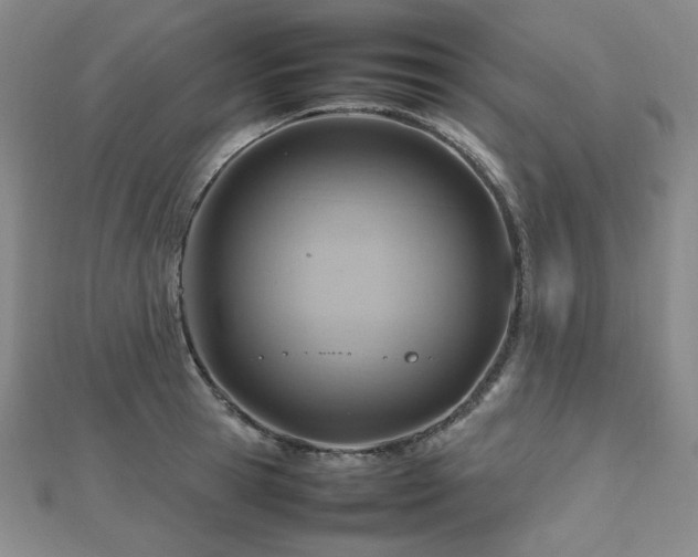 X0000112810945200908211141